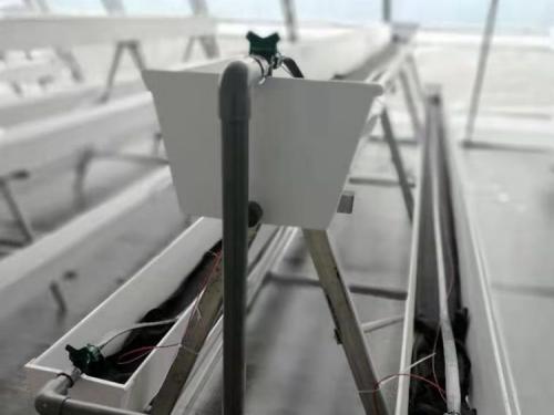 garden of life bone grow system